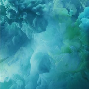 Meet your Posher, Hazel